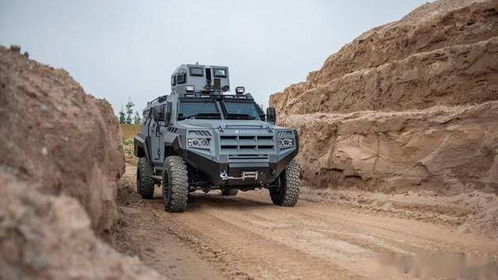 加拿大霸道apc輪式裝甲運(yùn)兵車